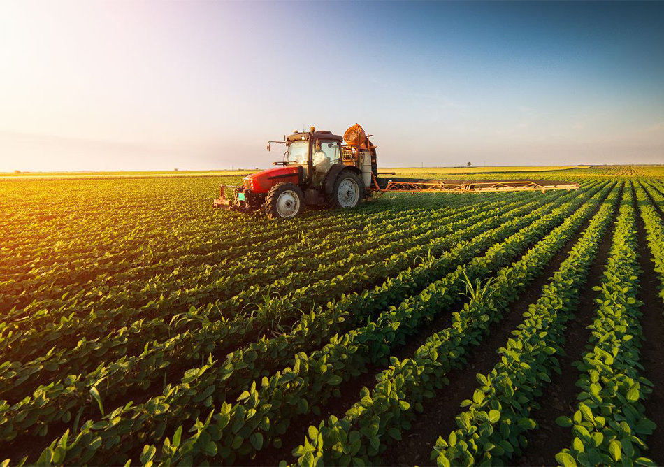 Die Transformation der Landwirtschaft: Die Produktivität muss sich verdoppeln